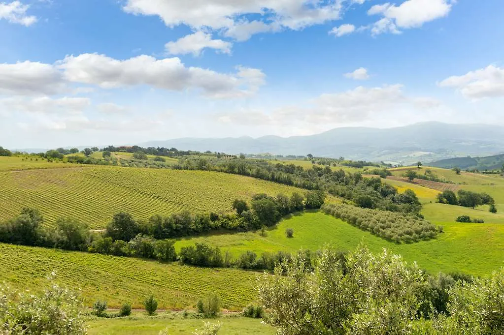 Tenuta Pianirossi Cinigiano 0*,